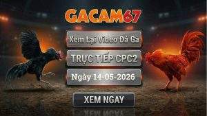 Xem Lại Video Đá Gà CPC2 Ngày 14/05/2026