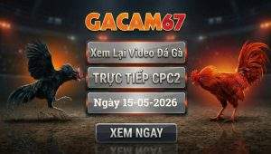 Xem Lại Video Đá Gà CPC2 Ngày 15/05/2026