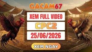 Xem Lại Video Đá Gà CPC2 Ngày 25/06/2026 Tại GACAM67